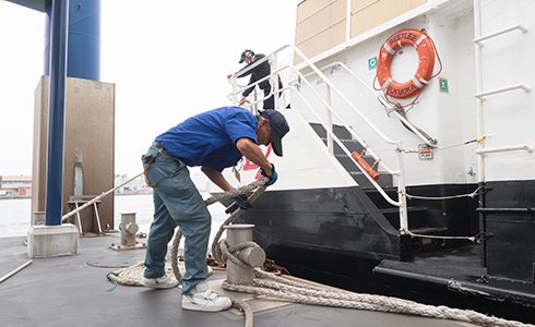 接岸・清掃業務